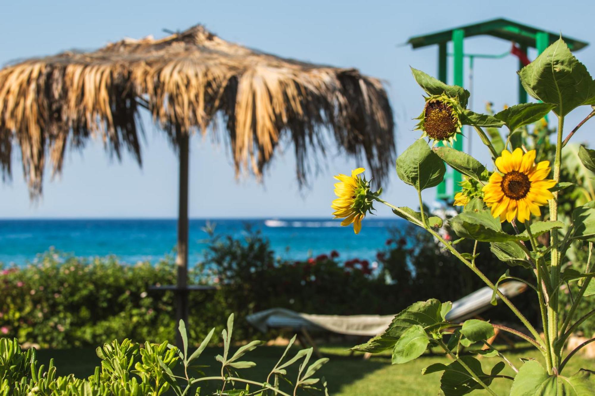 Garden Studios Alykes (Zakynthos) Exterior foto